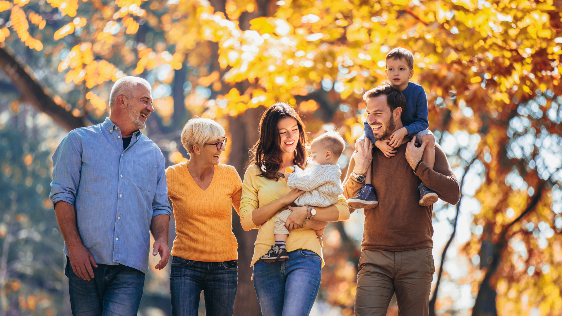 Special needs family law attorneys in Northern Virginia