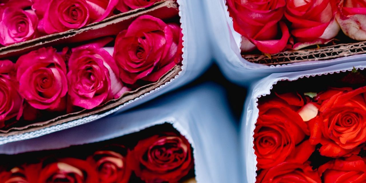 Valentine’s Day Giveaway